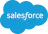 Integration Salesforce Icon